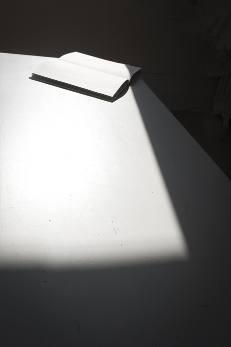 http://www.bertrandcarriere.com/files/gimgs/th-111_29_v3.jpg