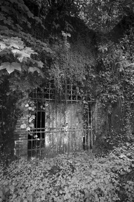 http://www.bertrandcarriere.com/files/gimgs/th-111_48_v3.jpg