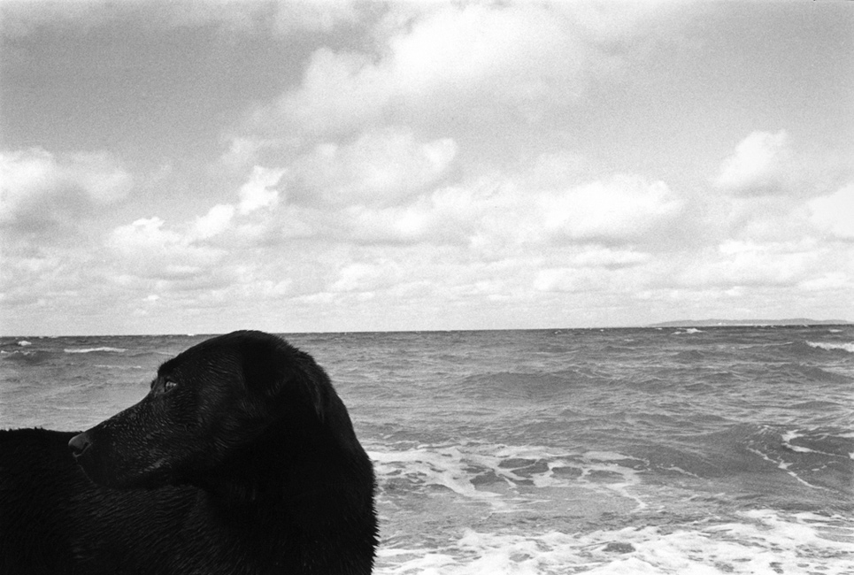 http://www.bertrandcarriere.com/files/gimgs/16_22voyageadomicile.jpg