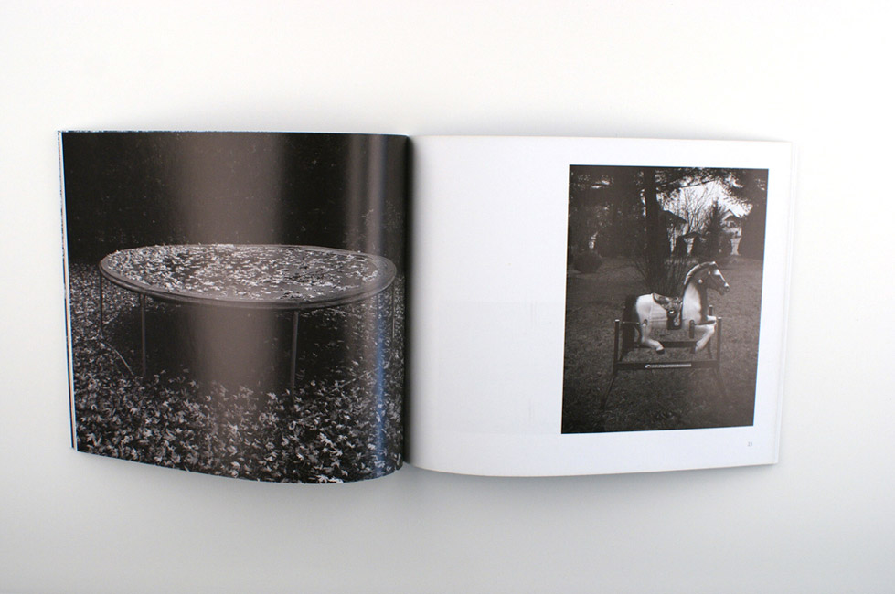 http://www.bertrandcarriere.com/files/gimgs/53_04ici.jpg