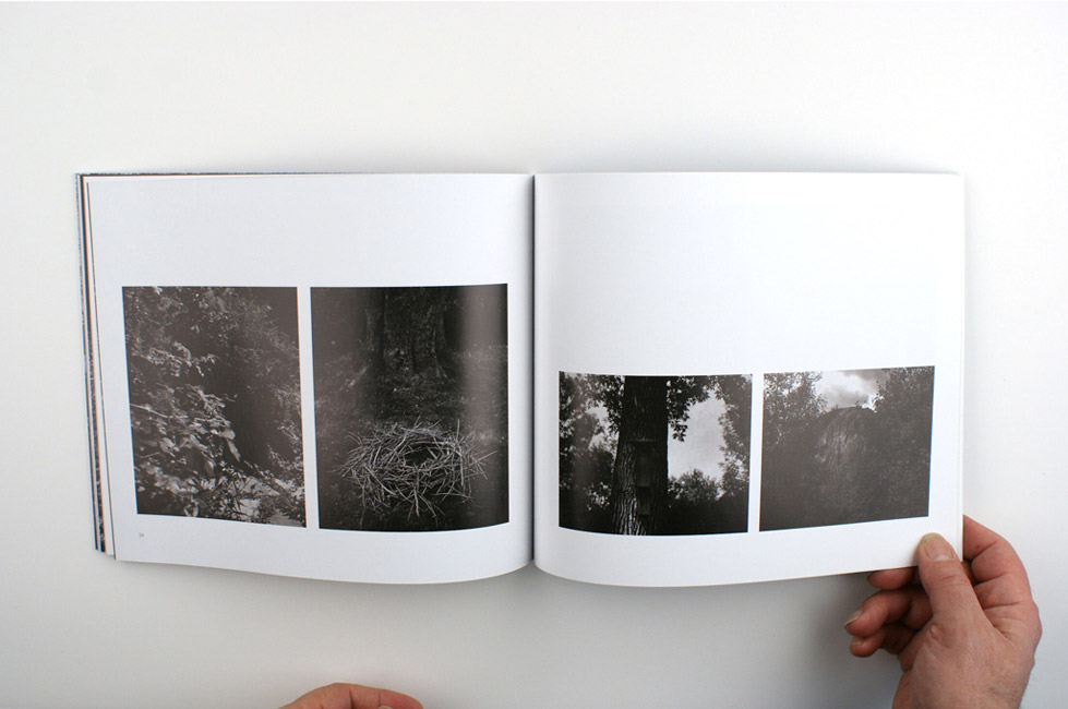 http://www.bertrandcarriere.com/files/gimgs/53_06ici.jpg
