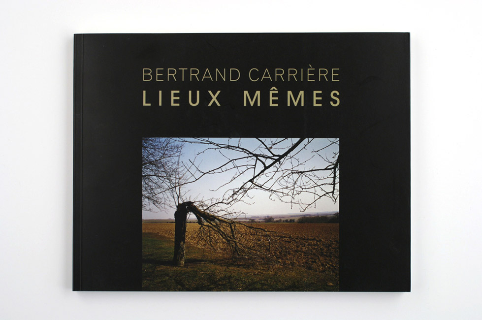 http://www.bertrandcarriere.com/files/gimgs/55_01lieux-memes.jpg