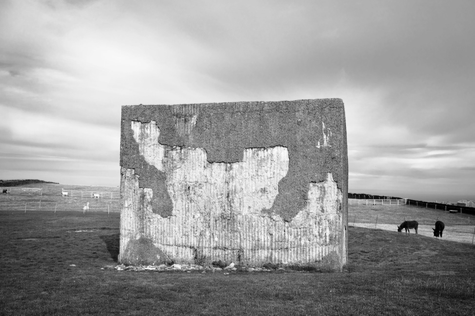 http://www.bertrandcarriere.com/files/gimgs/th-79_79_079_Soundmirrors_DSC4423.jpg