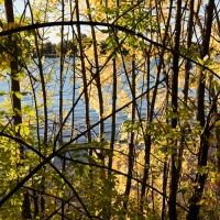 https://www.bertrandcarriere.com:443/files/gimgs/th-51__A1A0239.jpg